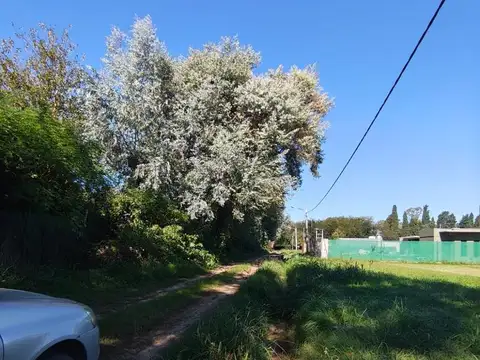 Terreno en Venta de 250,0 m2