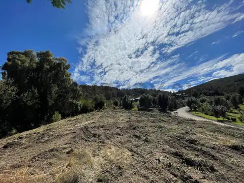VENTA TERRENO SAN MARTIN DE LOS ANDES . LOS MAITENES