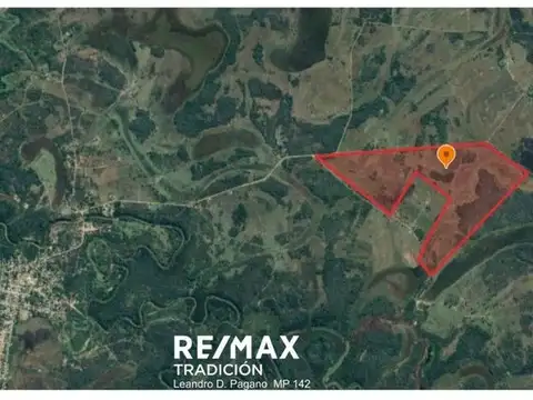 CAMPO GANADERO EN VENTA – 105 HAS- LAS PALMAS