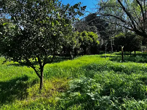 BUSCAS Amplia parcela con vivienda y vistas al Campo en Pueblito Rural