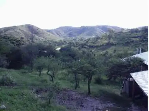 Ruta Provincial 5 42