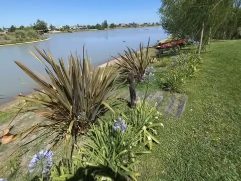 Barrio Santa Rita  Canning 100