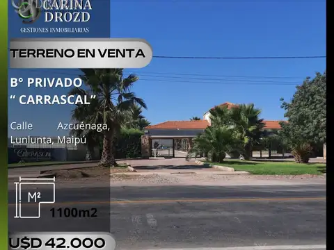 Terreno / Lote en venta de 1100m2 ubicado en Lunlunta