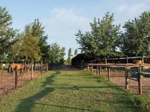 Terreno en Venta 20  mts Frente