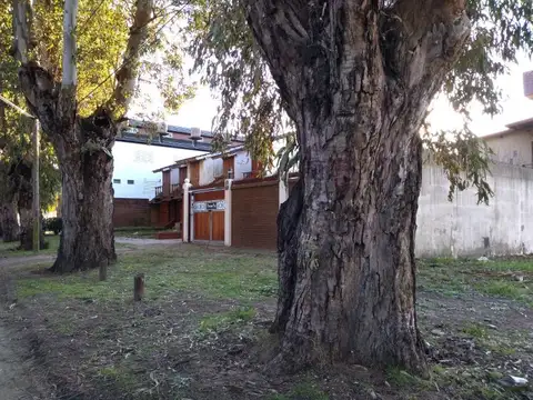 Terreno - Venta - Argentina, SAN BERNARDO - MITRE 3300