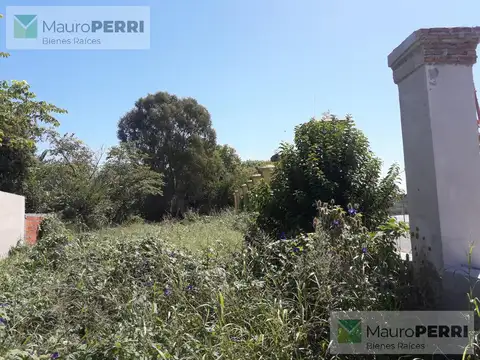 Terreno en Venta 39  mts Fondo