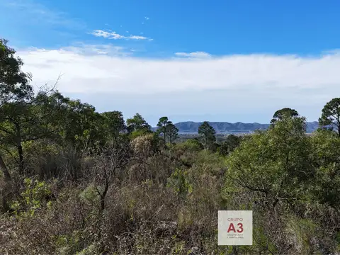 Terreno en Venta de 10000,0 m2