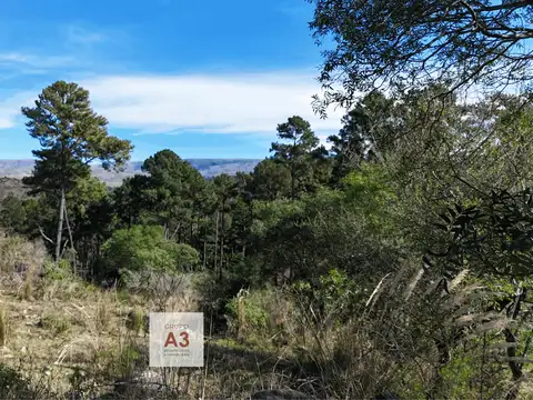 Fracciones de campo únicas en las sierras de Córdoba- Potrero de Garay-874