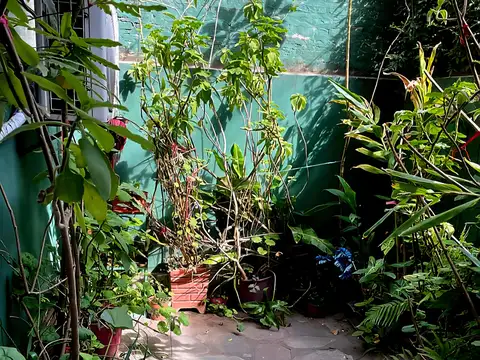 Local en Alquiler 30 años