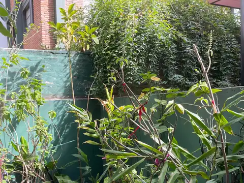 Local en Alquiler Via Púb.