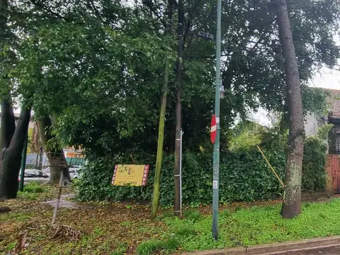 NUEVO INGRESO