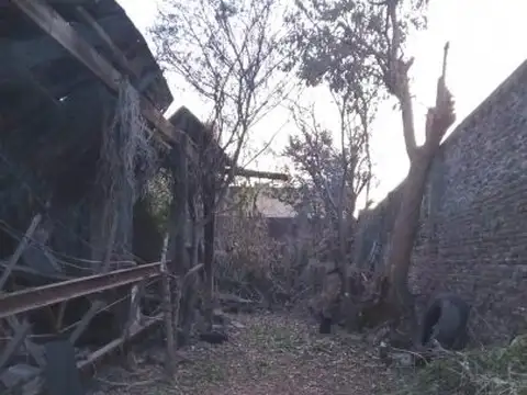 Leandro N. Alem y Nerbutti , Piso No definido