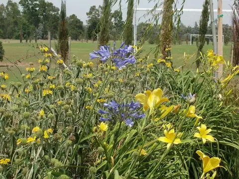 Terreno en Venta en Santa Rita, USD 30.000