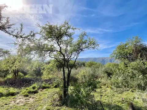Terreno en Venta 35  mts Fondo
