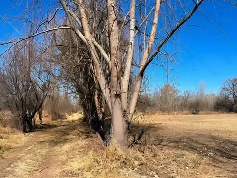 Terreno en Venta de 2000,0 m2