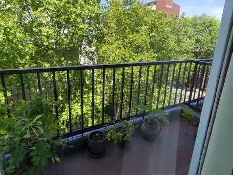 Departamento - ALQUILER_TEMPORAL - Argentina, Mar del Plata - salta 900