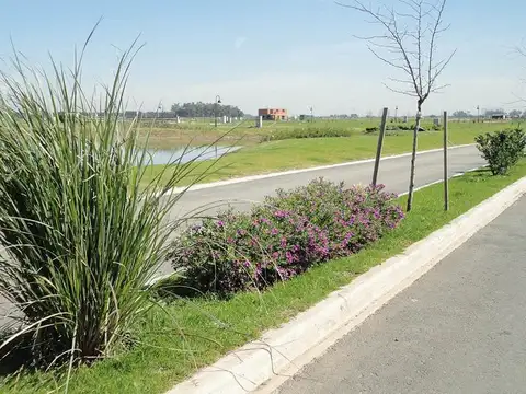 Terreno en Venta de 719,0 m2