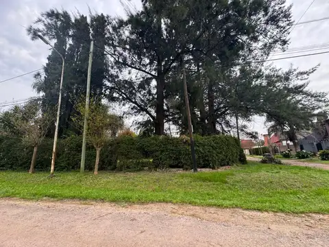 LOTE EN ESQUINA PARQUIZADO Y CON ARBOLEDA