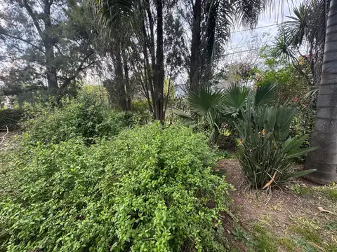 LOTE EN ESQUINA PARQUIZADO Y CON ARBOLEDA