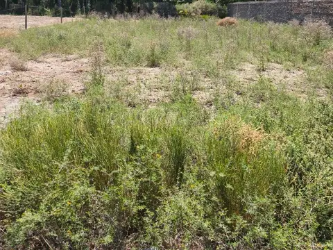 Terreno en Venta en Colonia Segovia, USD 14.000