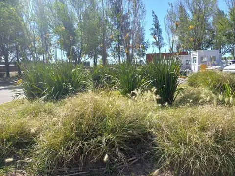 VENTA LOTE  AREA 5 S.SEBASTIAN 1000 M. ESCRITURADO