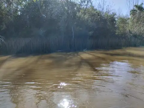 Rio / Arroyo Estudiantes 100