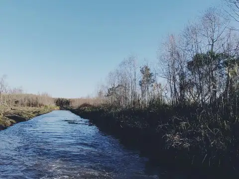 LOTE VENTA ISLA DELTA ESCRITURADO GUAYRACA 1200 M2 20 POR 60