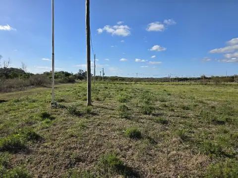 Terreno en Venta de 3100,0 m2