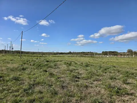 Terreno en Venta de 3100,0 m2