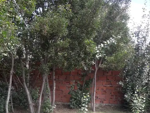 HERMOSO TERRENO A NUEVE CUADRAS DE LA PLAYA Y OCHO DE LA TERMINAL DE ÓMNIBUS