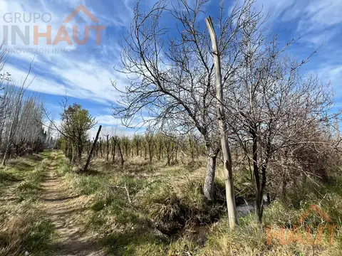 VENTA DE CHACRA CINCO HECTAREAS