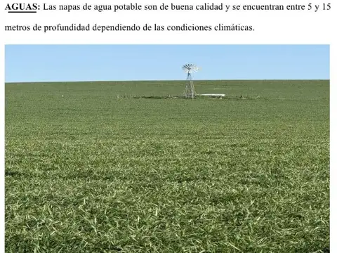Campo en venta de 116ha ubicado en Puán