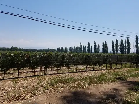 Ruta Provincial 15