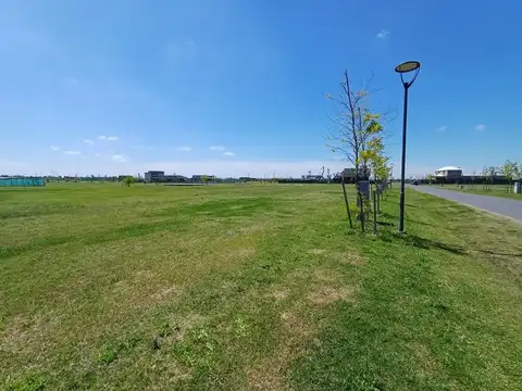 Avenida Arturo Illia. Vida Club De Campo