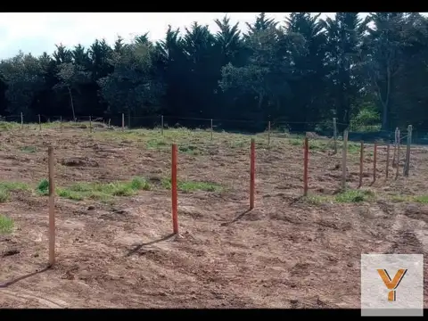 Terreno en Venta de 195,0 m2