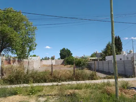 La Plata 750