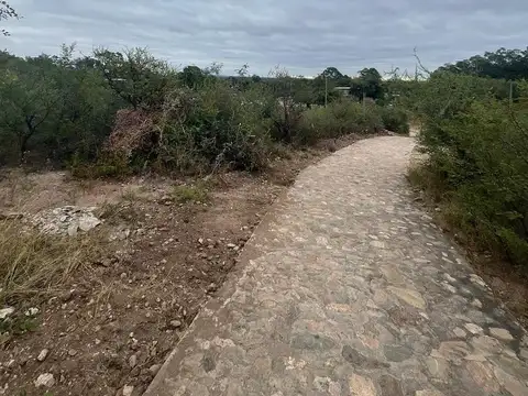 00232 - San Expedito