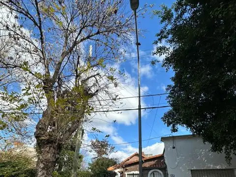 Peluffo 900
