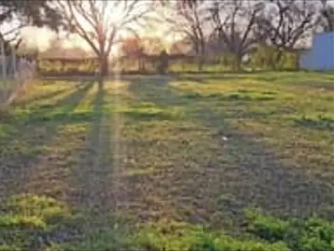 Rodolfo Wash, Sauce Viejo