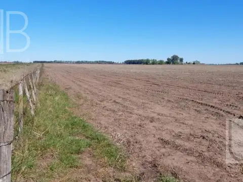Campo en Saladillo