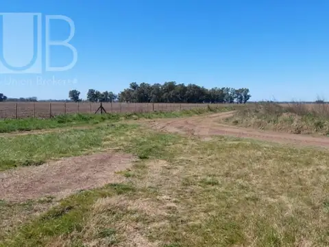 Campo en Saladillo