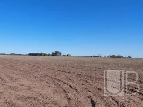 Saladillo