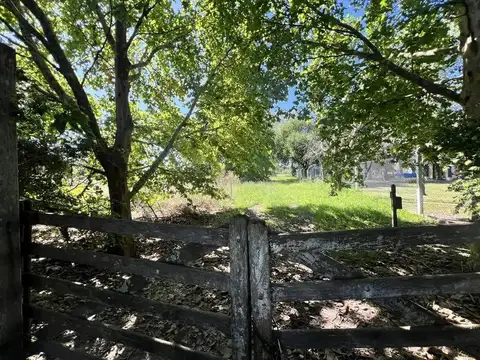 Venta- Campo - Villa Elisa, La Plata
