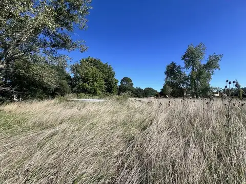 Venta- Campo - Villa Elisa, La Plata