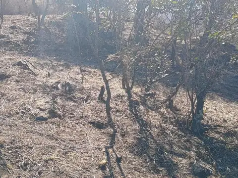 Terreno en Venta de 2470,0 m2