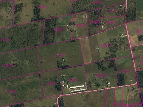 Venta chacra de 3,5Ha. Ruta 8 Km.42 Empalme Olmos