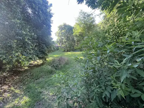 Venta 2 Lotes Contiguos – 750m² c/u – Fondo Norte – V. Allende Golf – a 100 m del Golf - Escritura