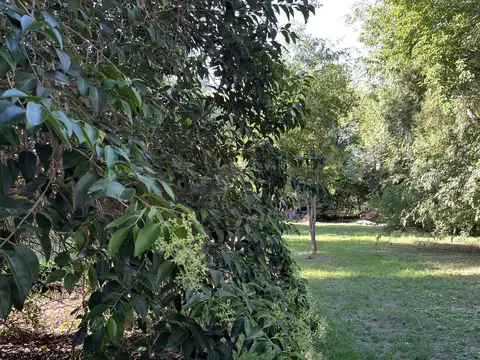 Salamanca