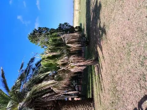 8 hectáreas  Baradero