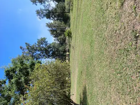 Campo en Venta Frutícola